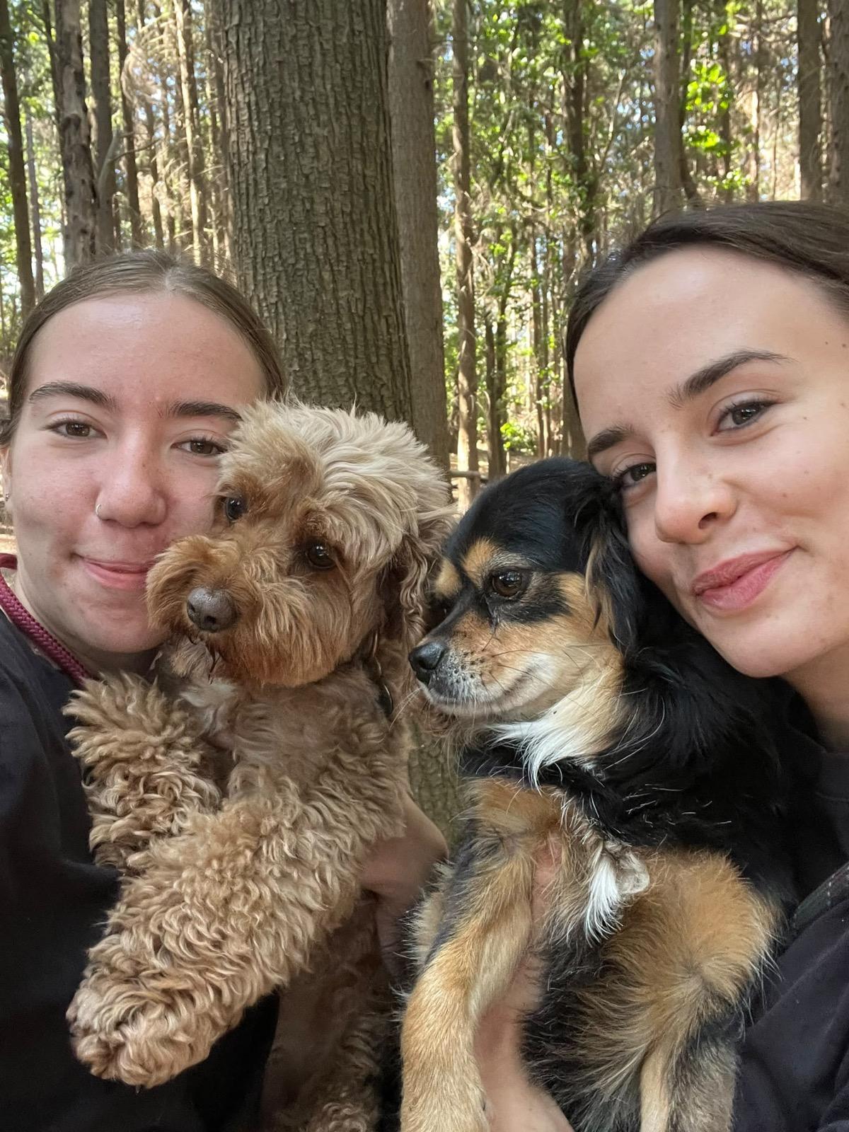 How to get more dog daycare clients (that actually stick)