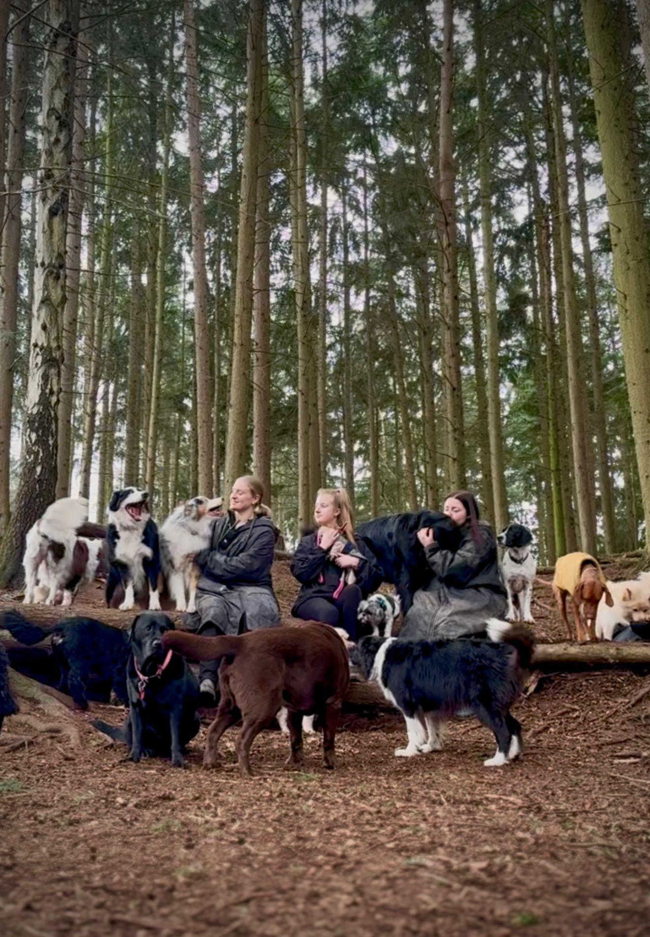 The woodland daycare facility