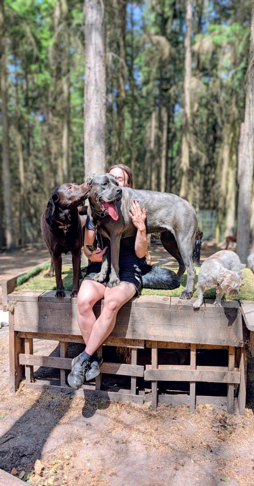 Dog daycare software in the UK: what to actually look for